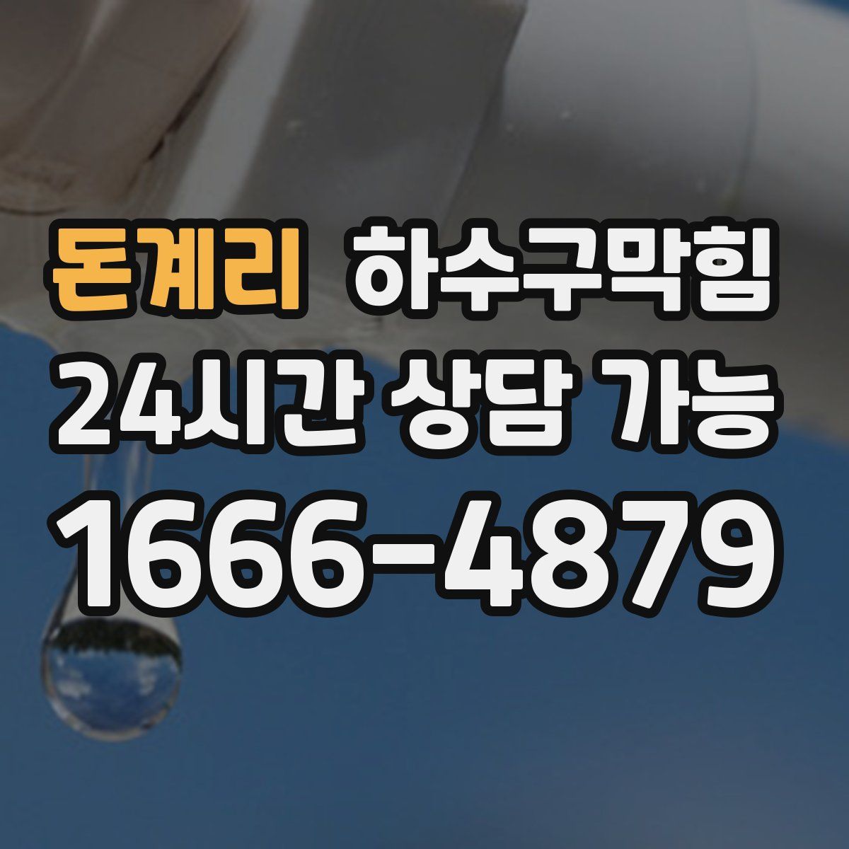 돈계리 하수구막힘