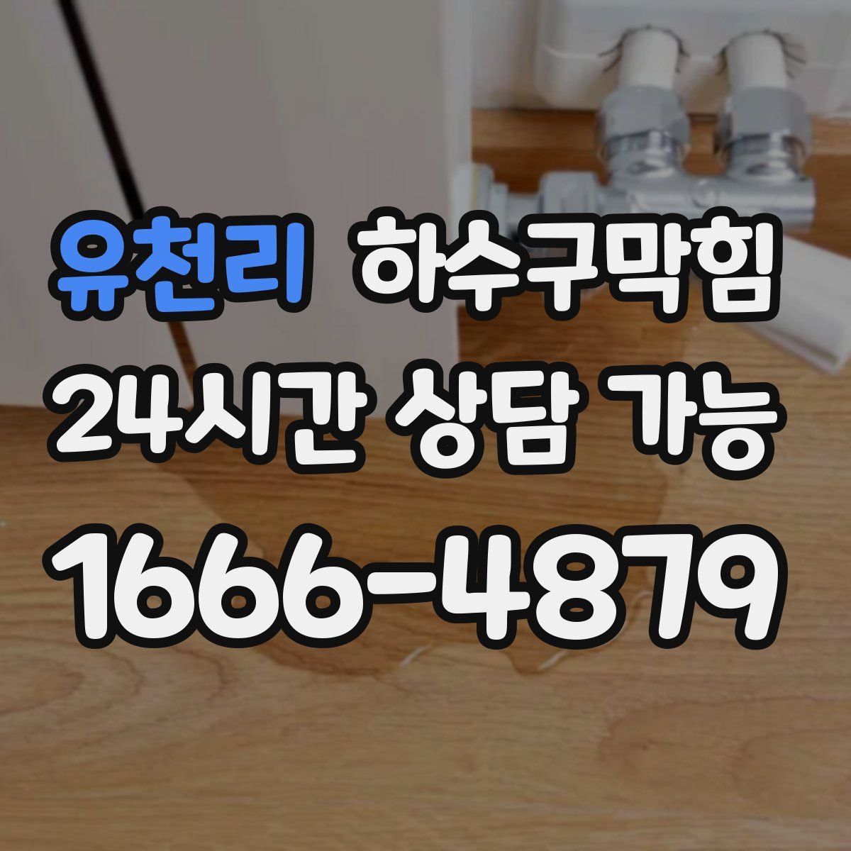 유천리 하수구막힘