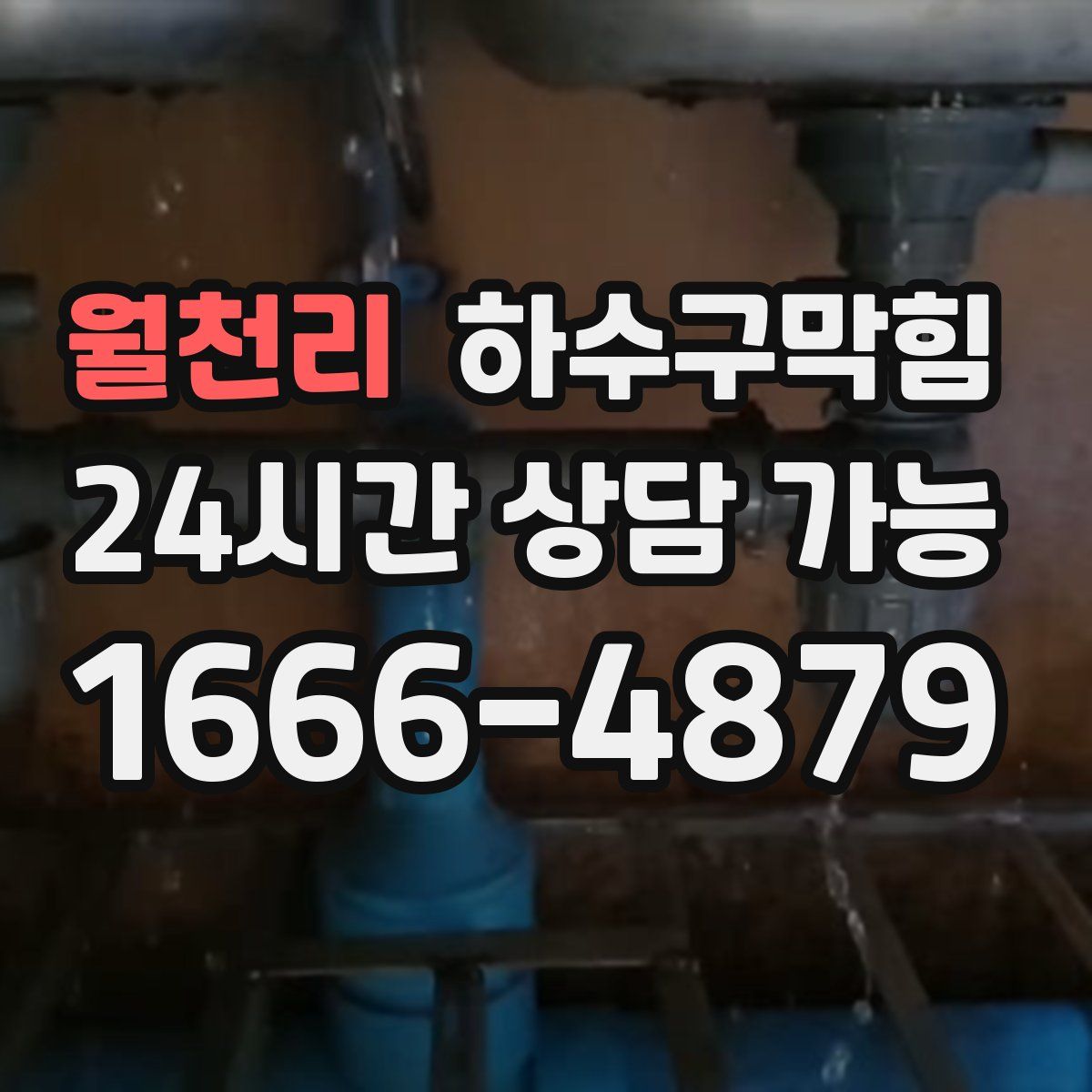 월천리 하수구막힘