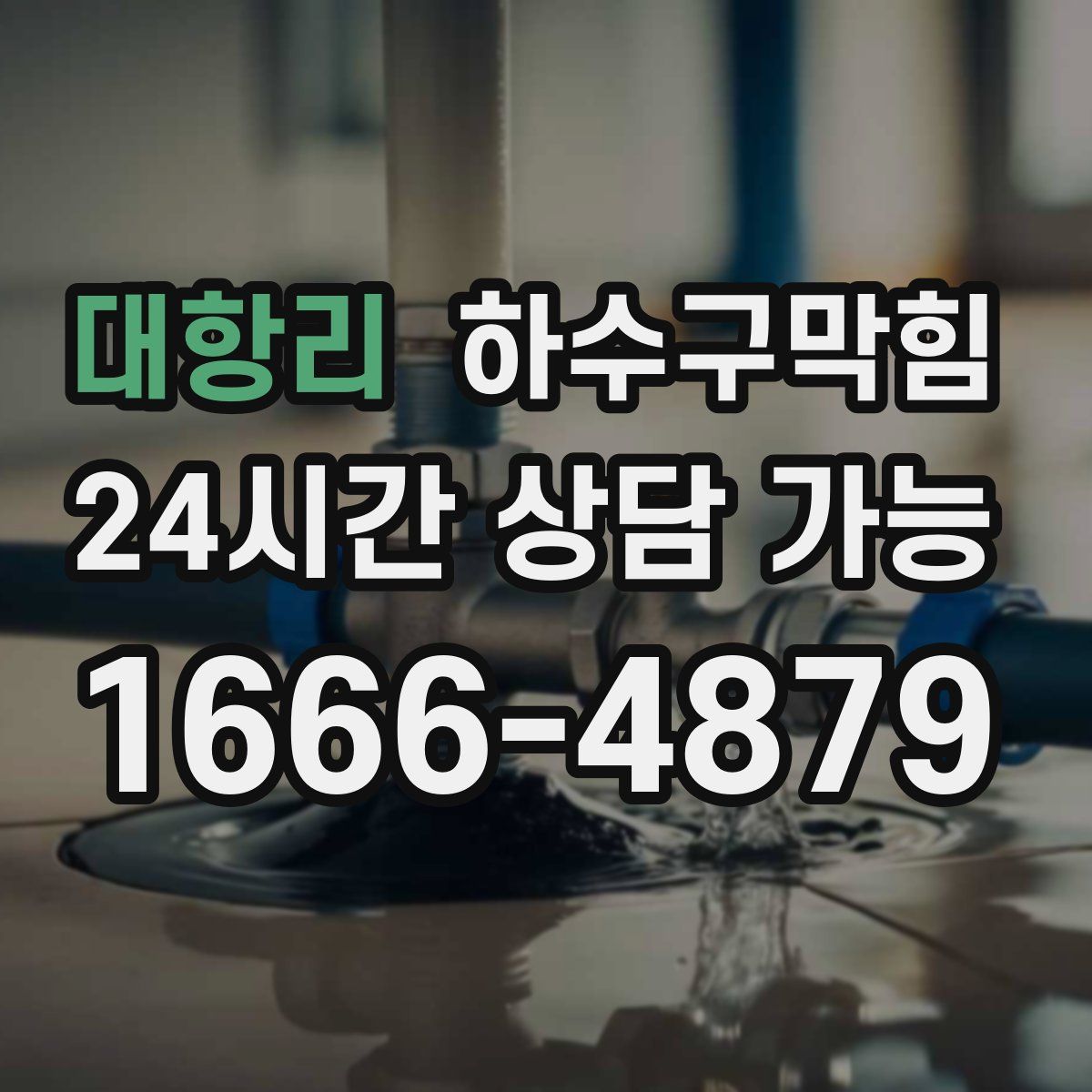 대항리 하수구막힘