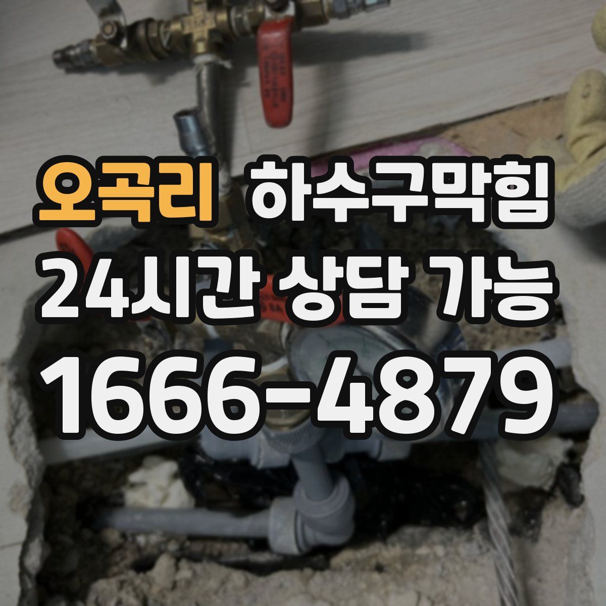 오곡리 하수구막힘