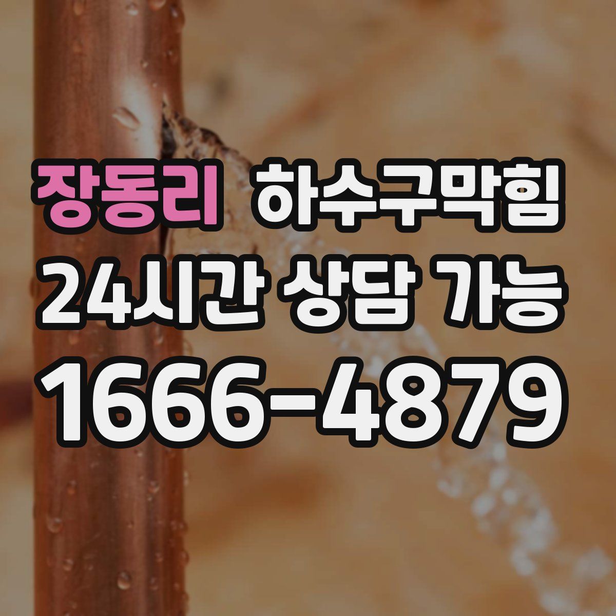 장동리 하수구막힘