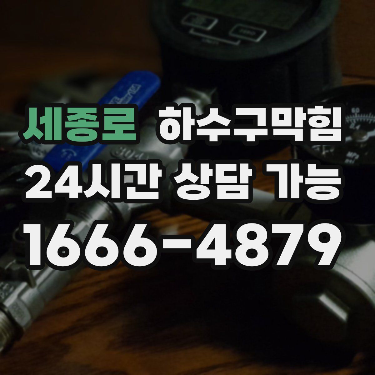 세종로 하수구막힘