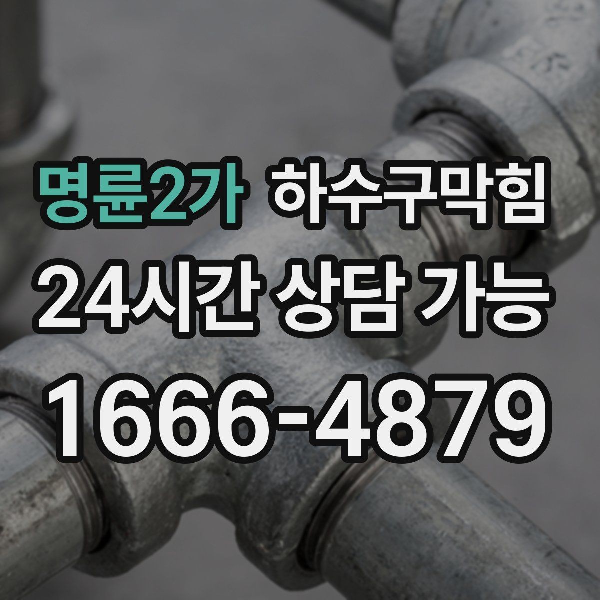 명륜2가 하수구막힘 카페 주방 배수 불량 긴급 복구