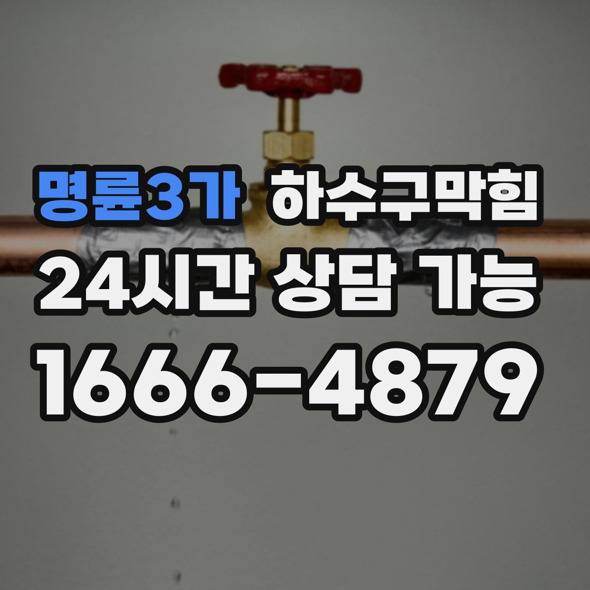 명륜3가 하수구막힘