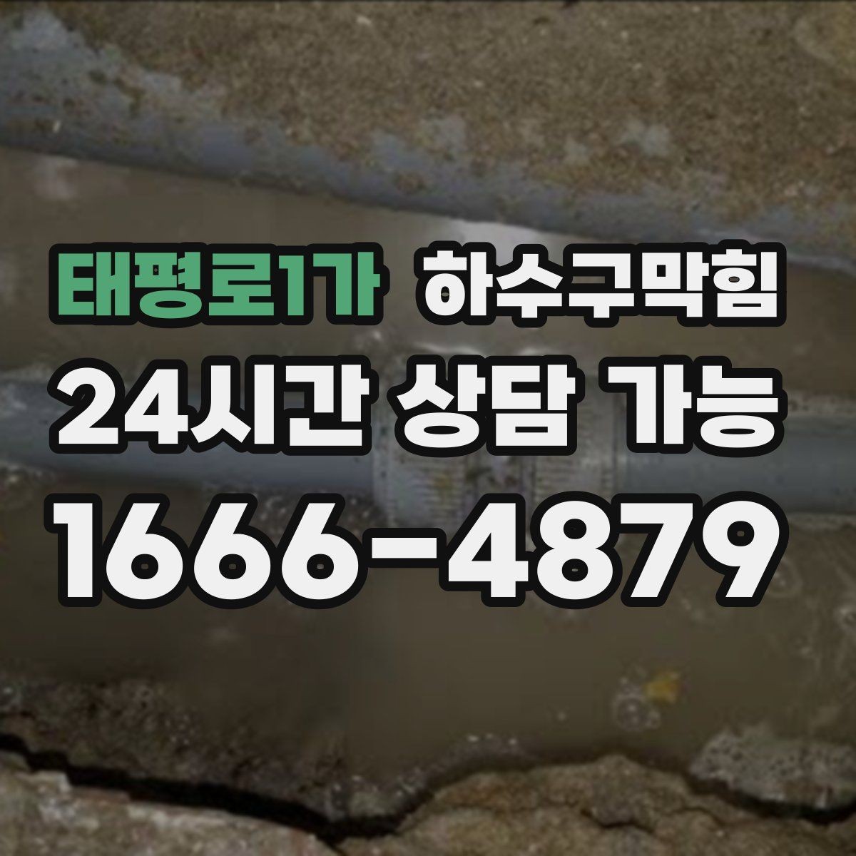태평로1가 하수구막힘 바리스타 우유 스팀이 김서린 유리