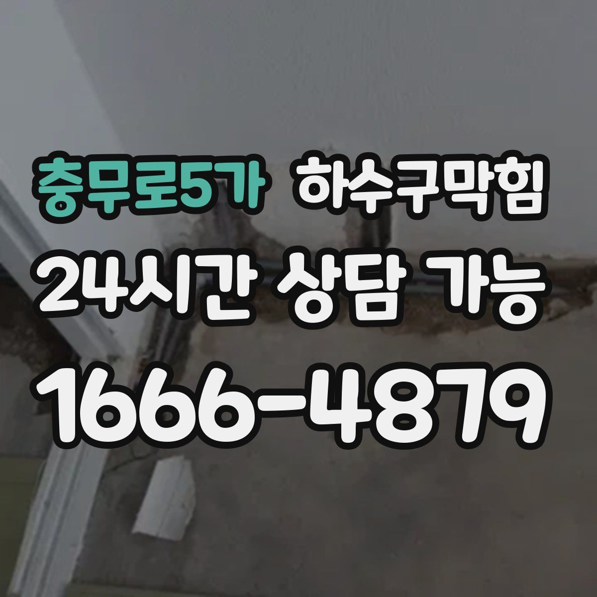 충무로5가 하수구막힘