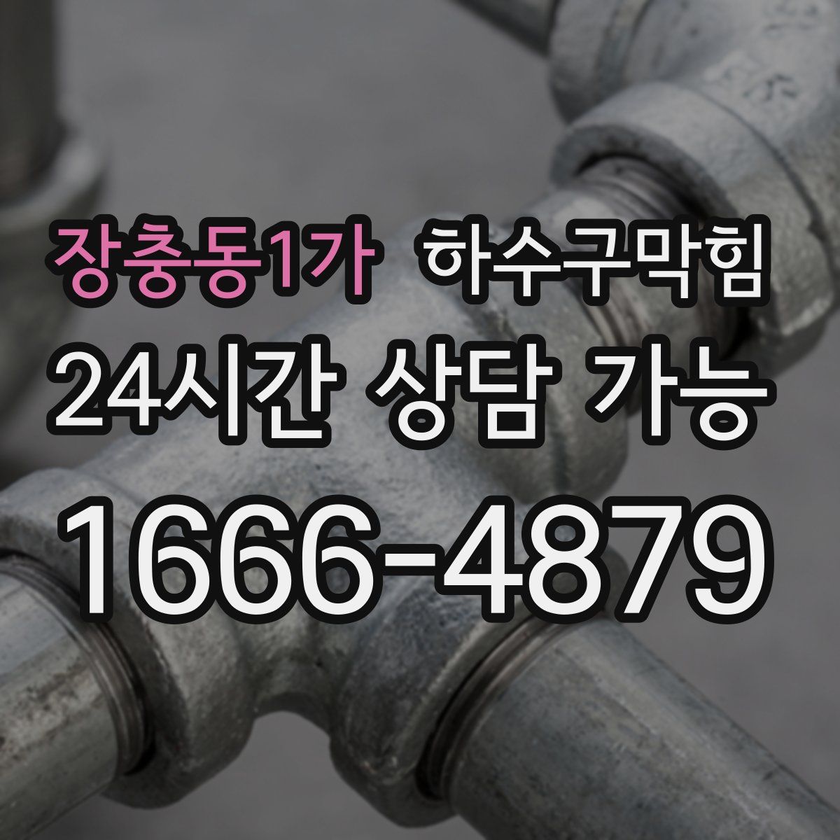 장충동1가 하수구막힘