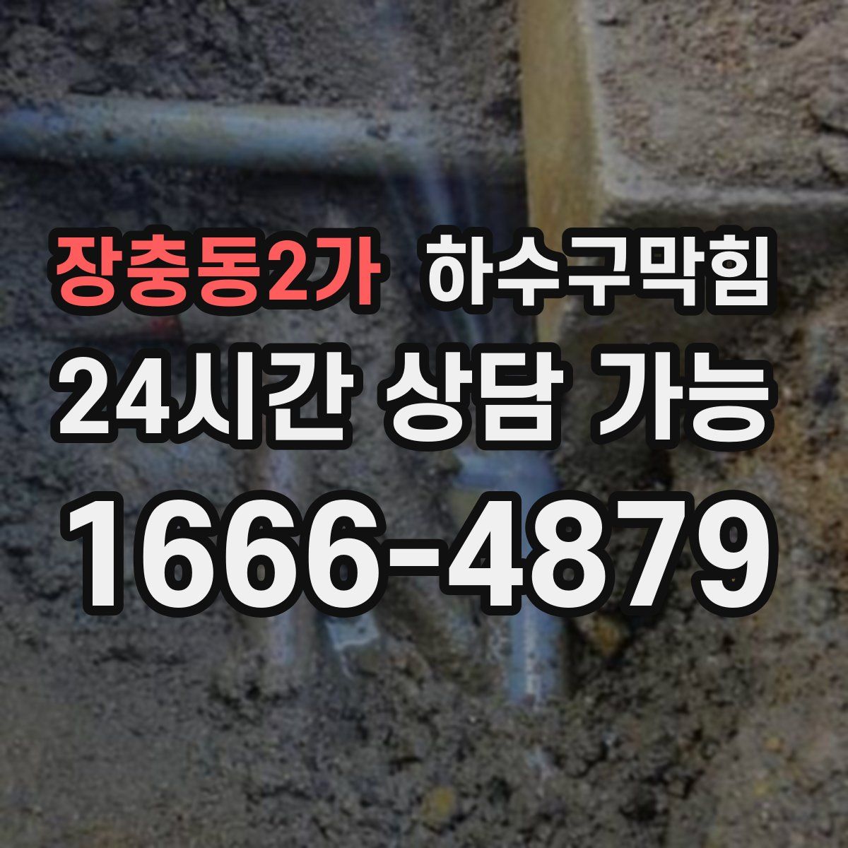 장충동2가 하수구막힘