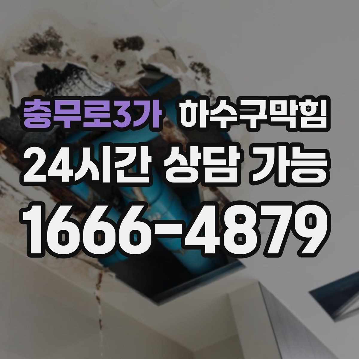충무로3가 하수구막힘 창밖보다 바닥을 먼저 바라보게 한 날