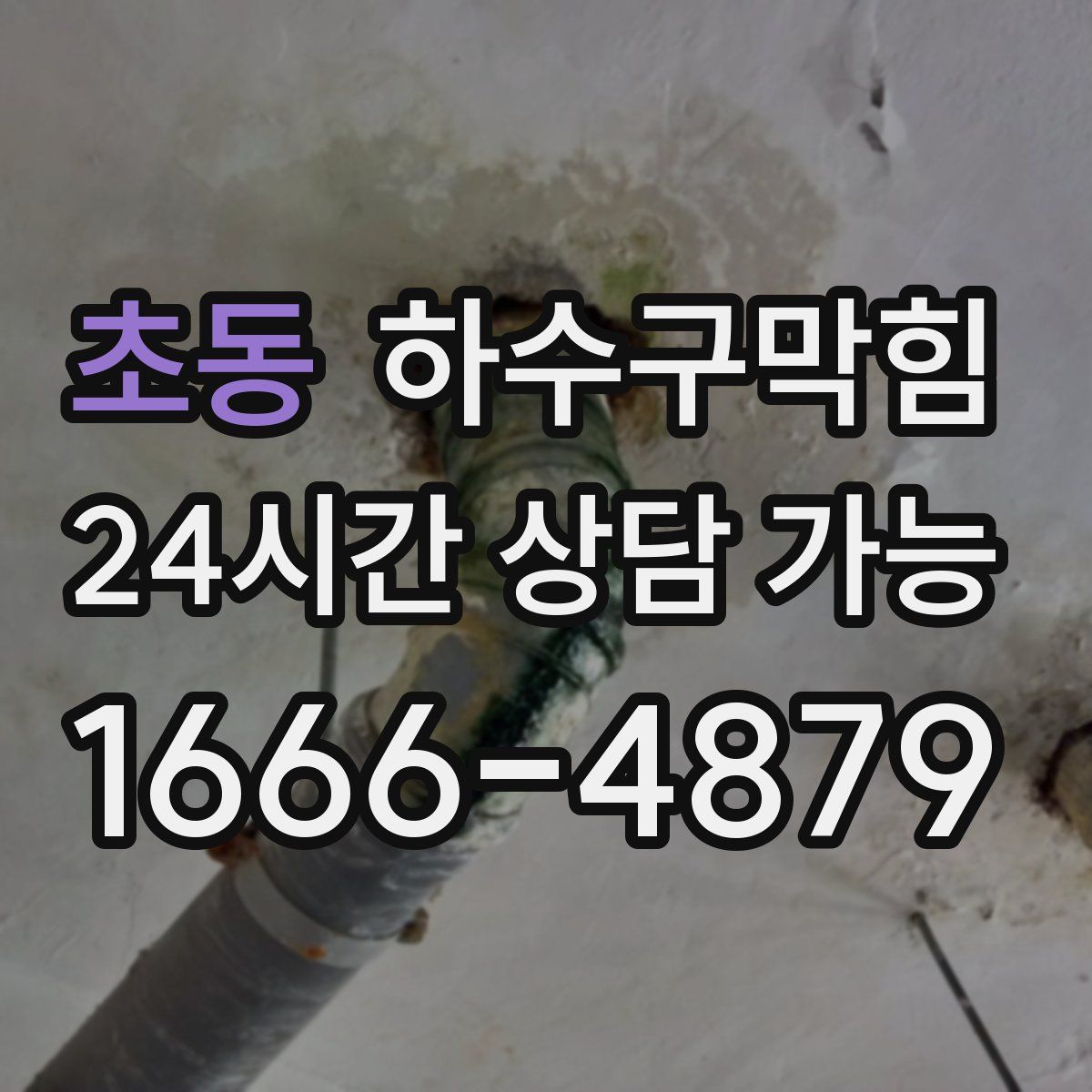 초동 하수구막힘