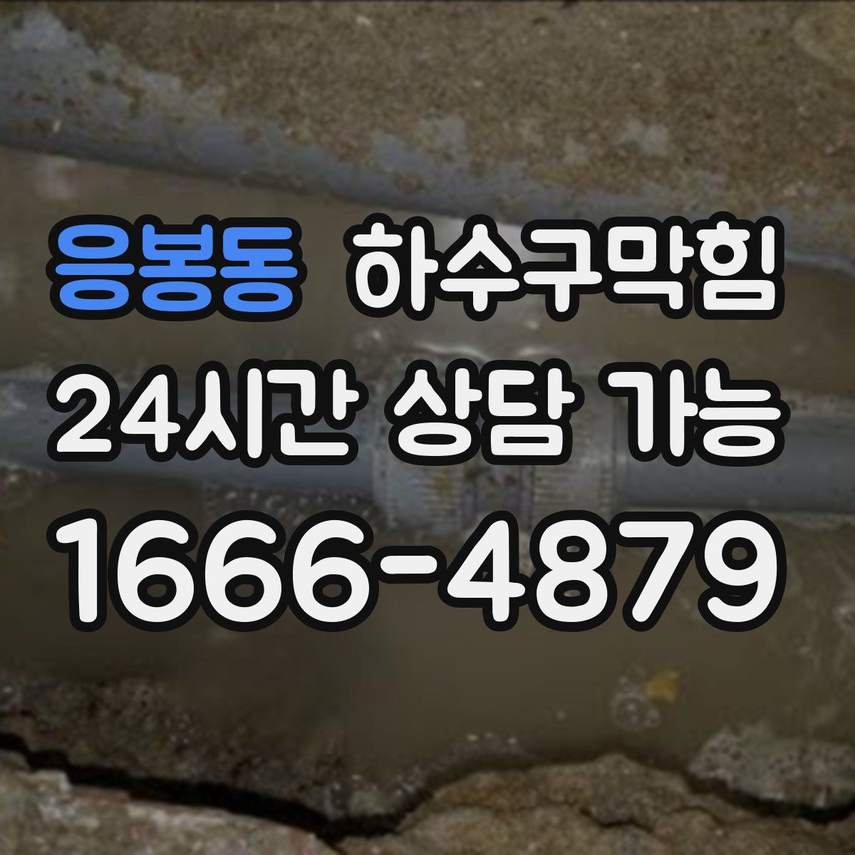 응봉동 하수구막힘