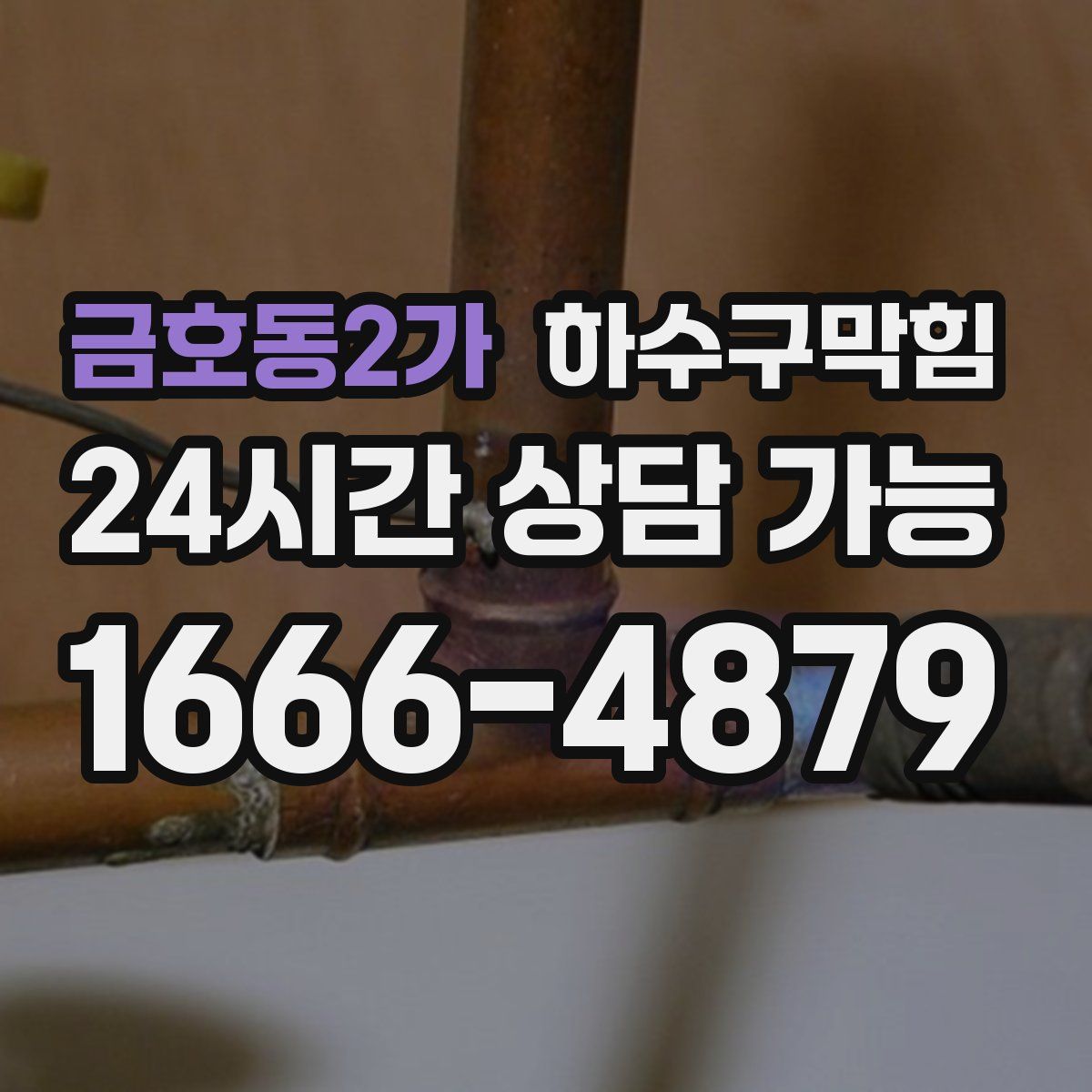 금호동2가 하수구막힘