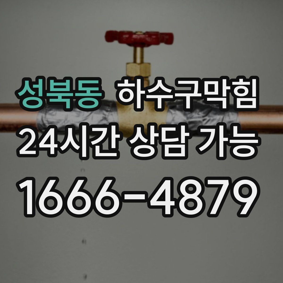 성북동 하수구막힘 사무실 화장실역류와 회의 시작 5분의 간극