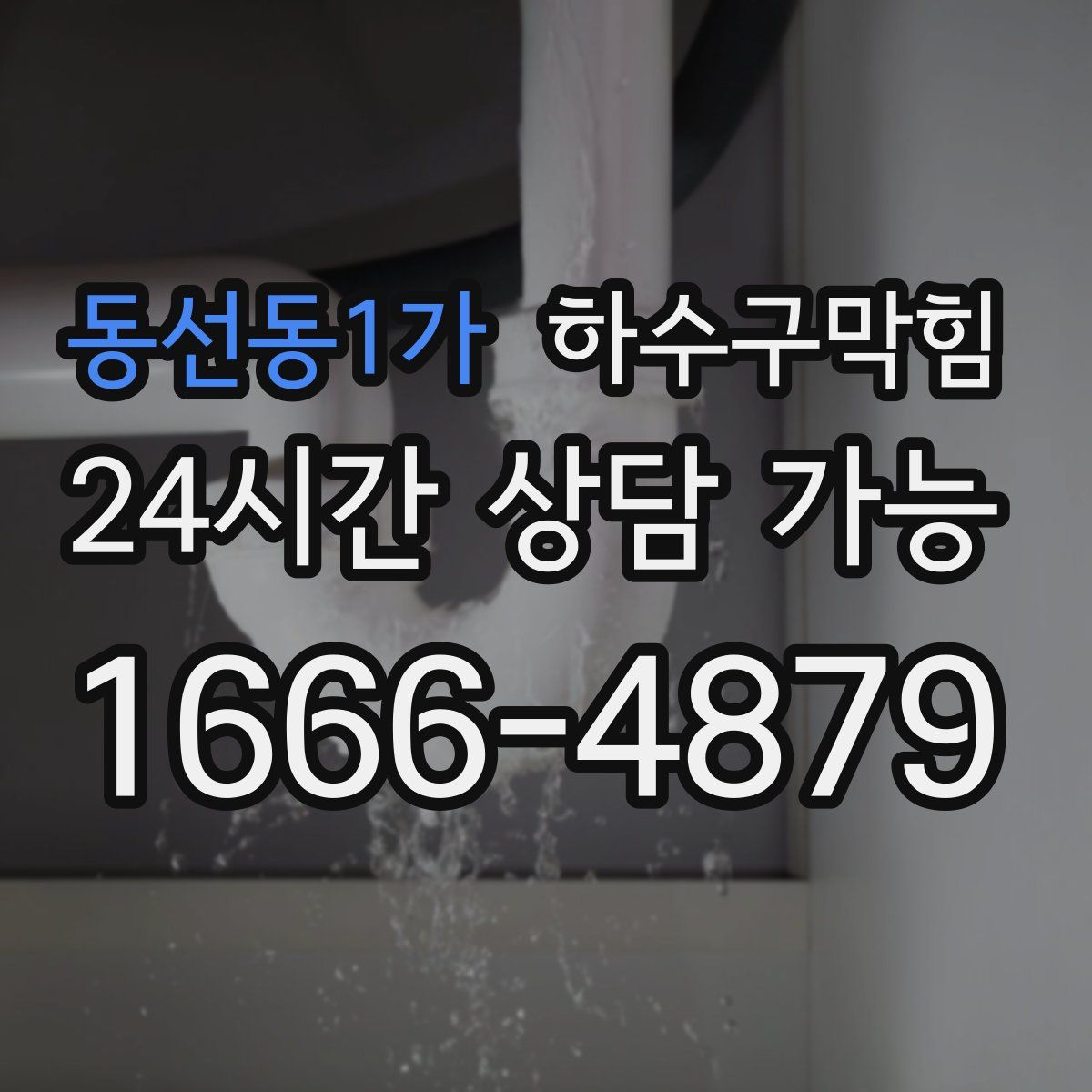 동선동1가 하수구막힘