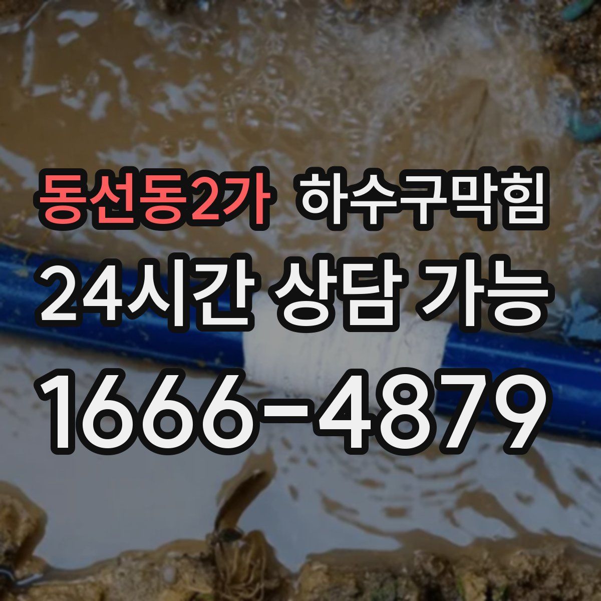 동선동2가 하수구막힘