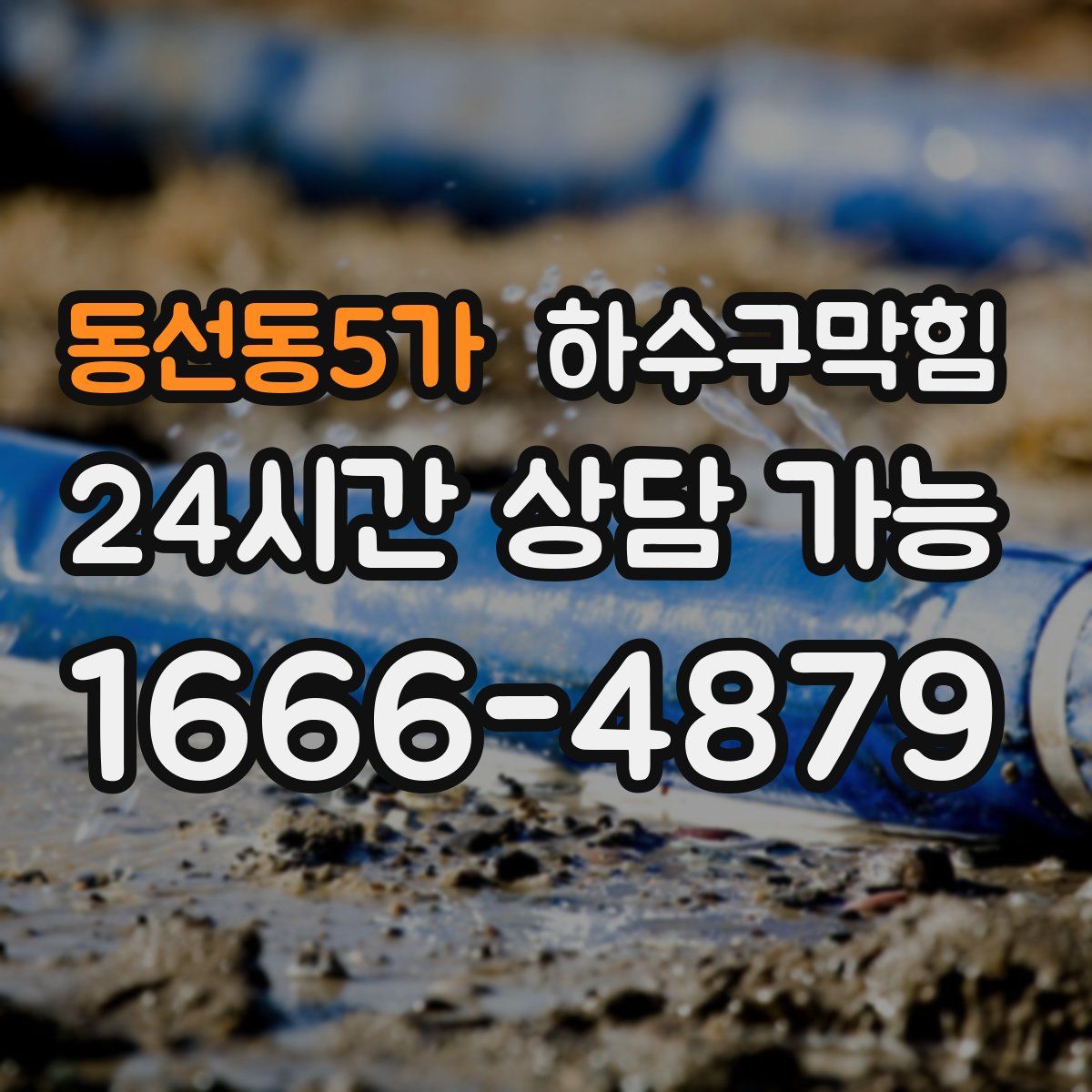 동선동5가 하수구막힘