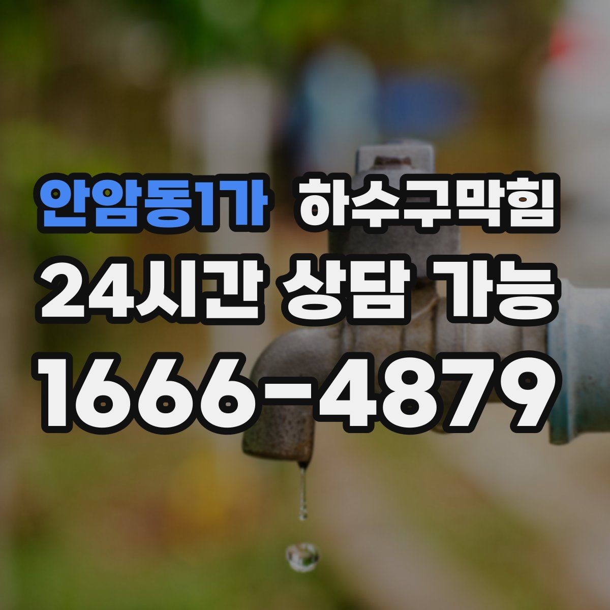 안암동1가 하수구막힘 공용 정수기 주변에서 감지된 이상