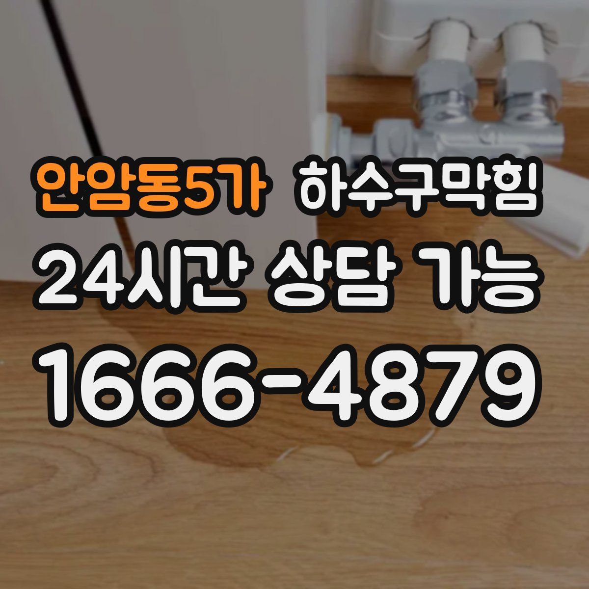 안암동5가 하수구막힘