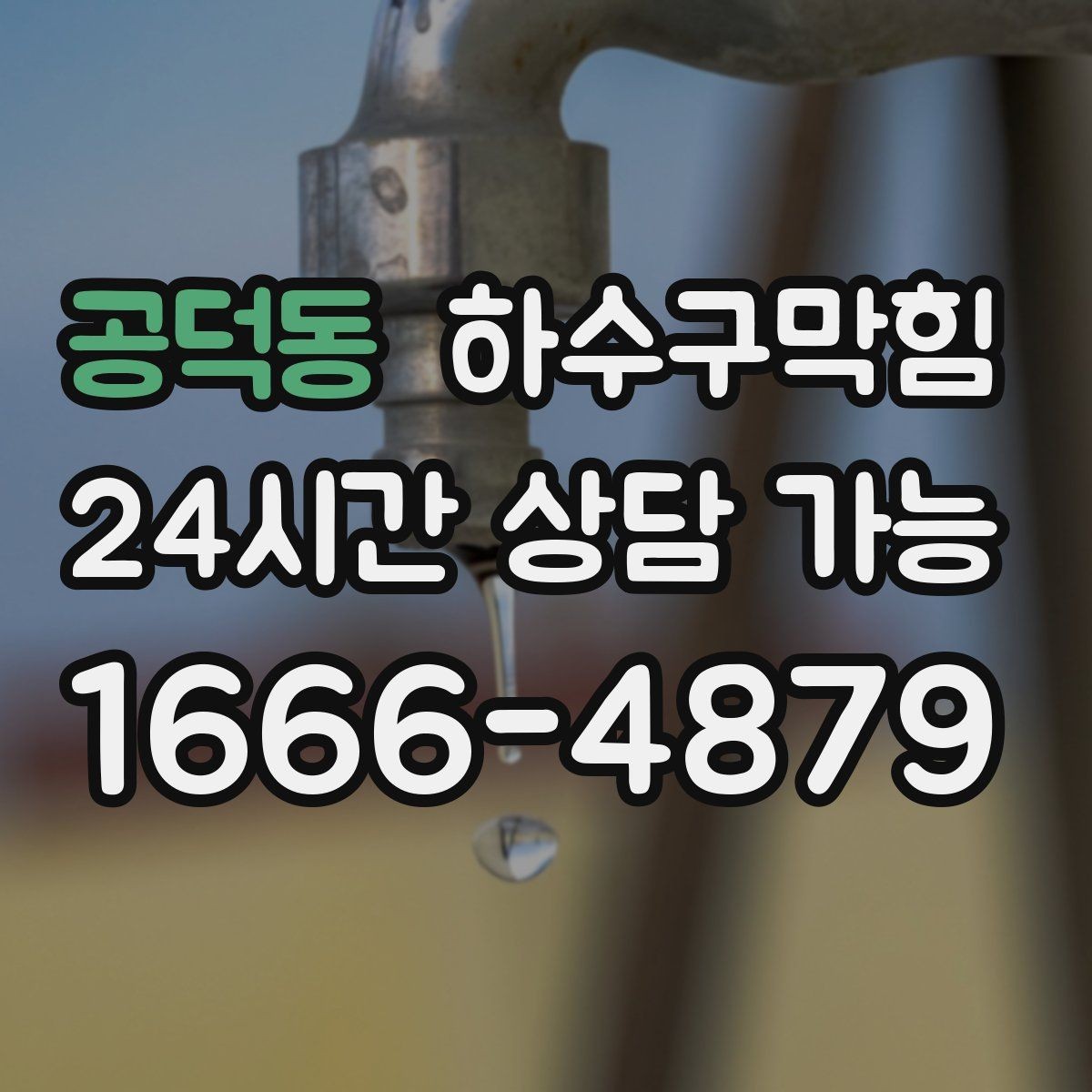 공덕동 하수구막힘 반지하 창틀 곰팡이가 가리킨 곳