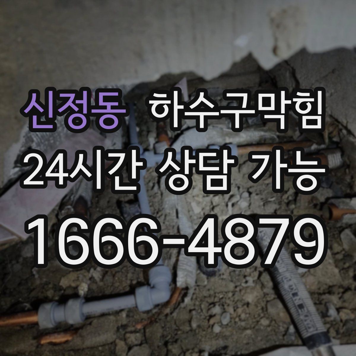신정동 하수구막힘 상습 역류 지역 특별 순회 점검