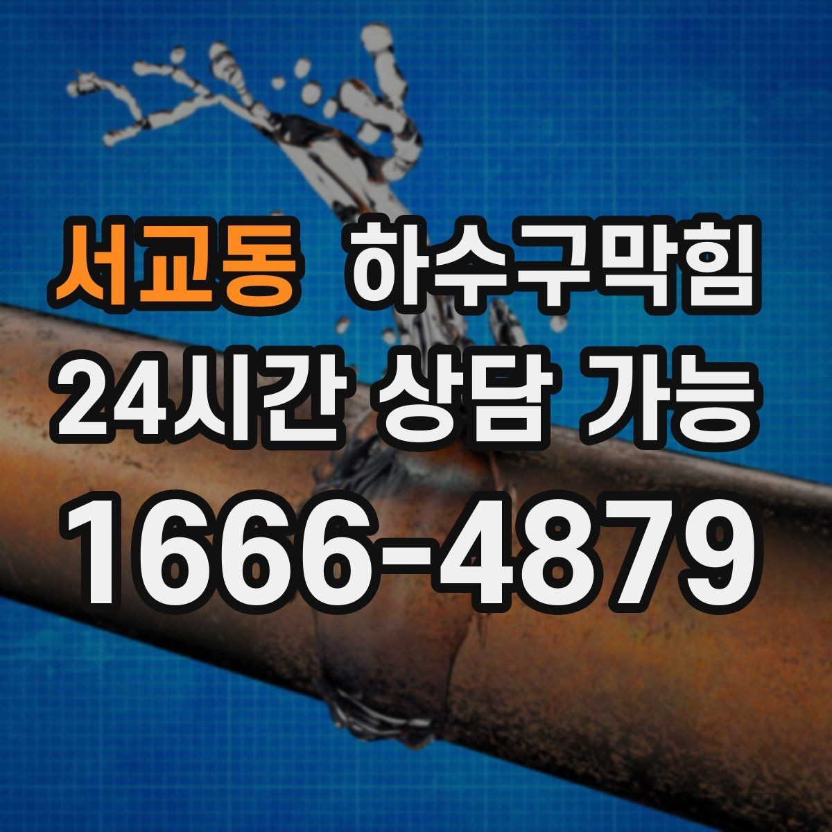서교동 하수구막힘 포토존 바닥 러그가 젖던 이유