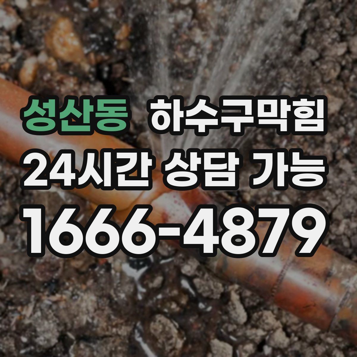 성산동 하수구막힘 대형 매장 구역별 순차 작업
