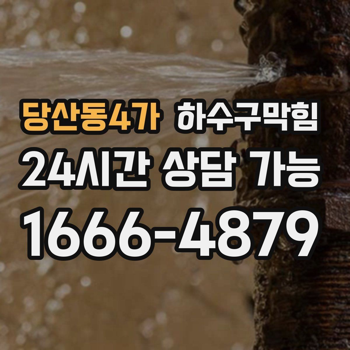 당산동4가 하수구막힘 체육관 샤워실 악취 차단 프로젝트