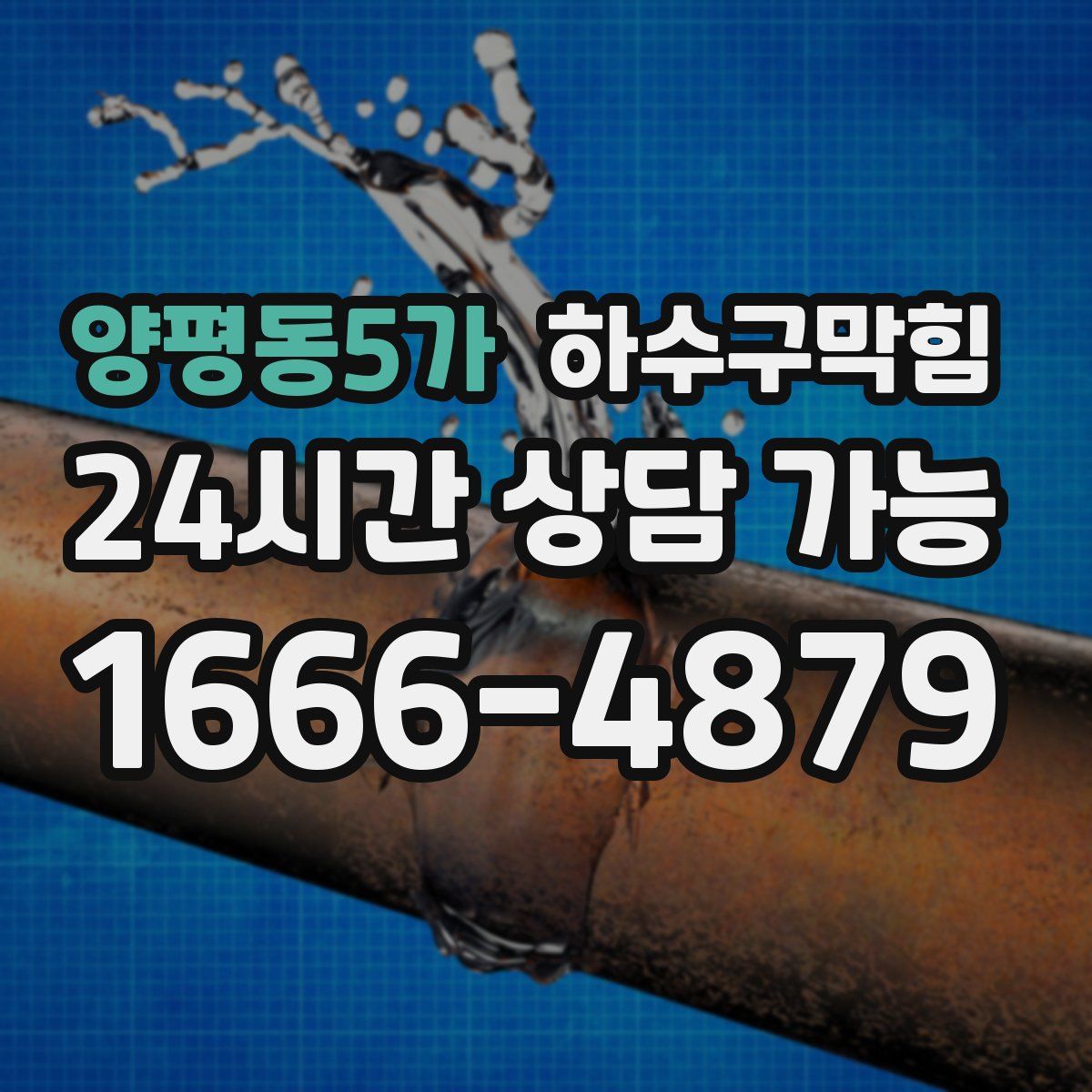 양평동5가 하수구막힘