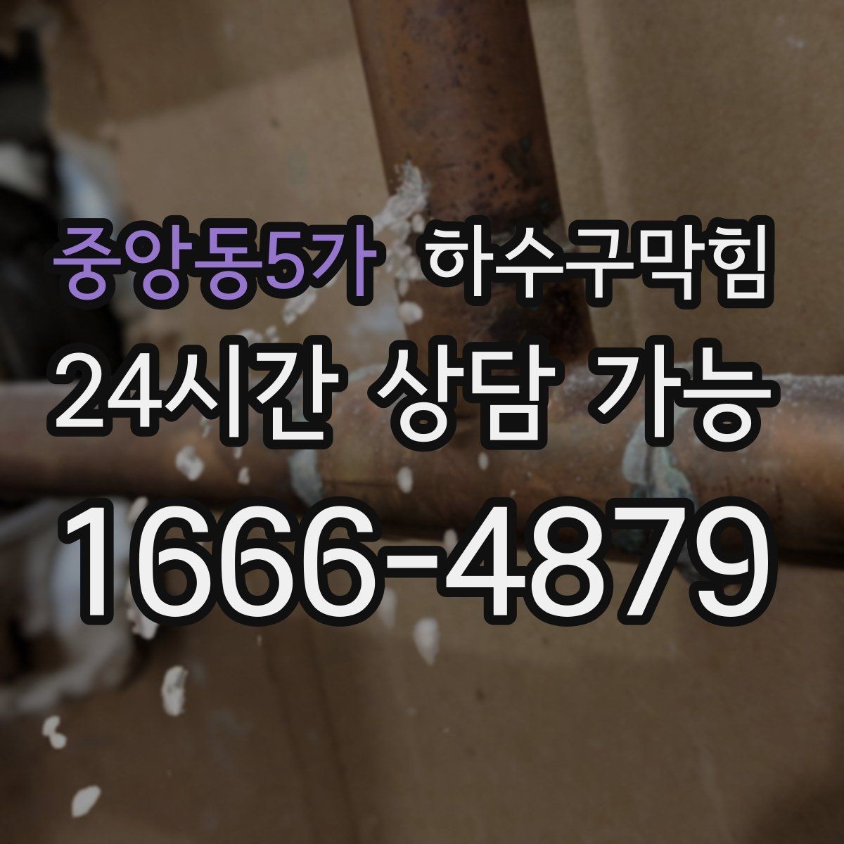 중앙동5가 하수구막힘 카페 배수구막힘이 메뉴판 향을 가린 오전