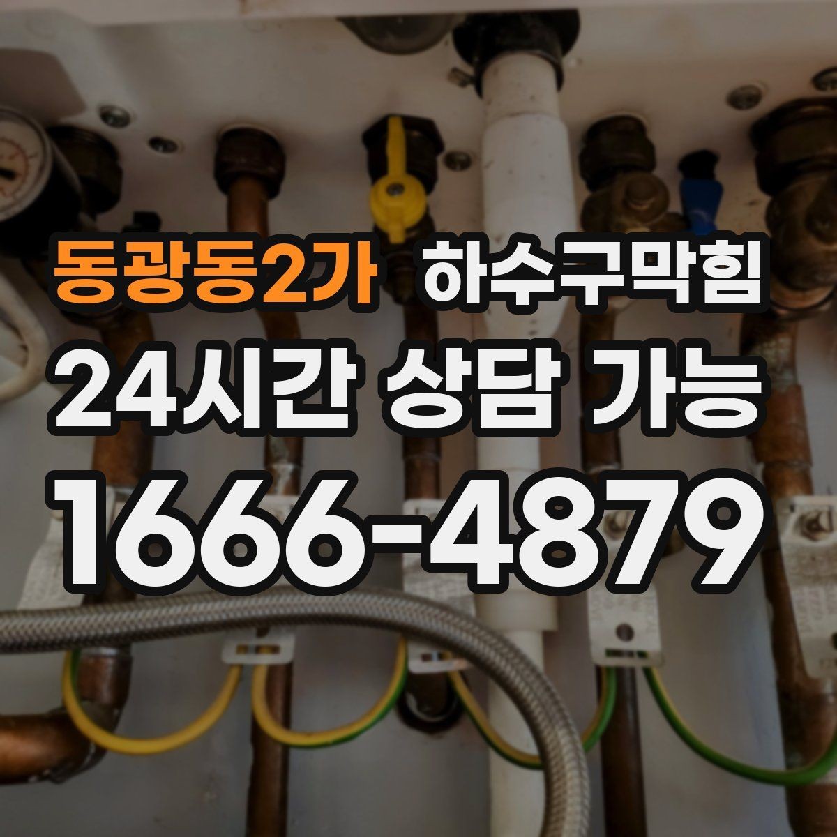 동광동2가 하수구막힘 아파트 배수구막힘이 복도 식물 잎을 시든 이유