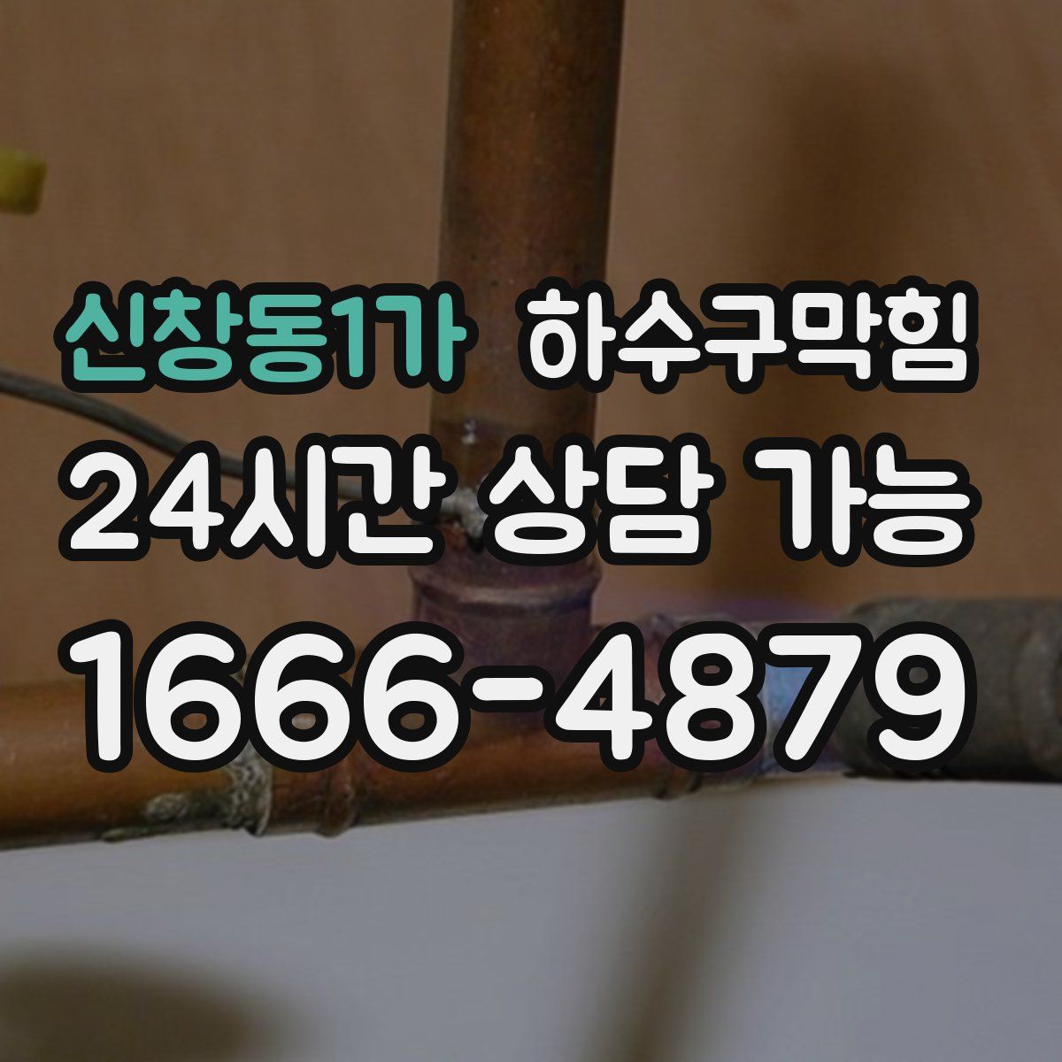 신창동1가 하수구막힘