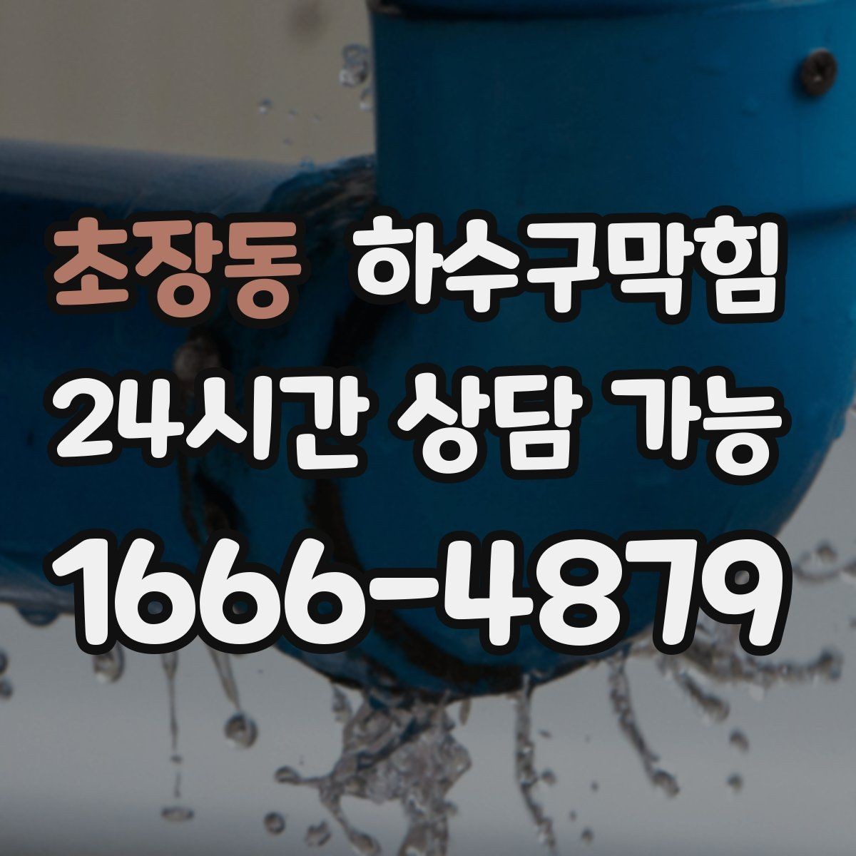 초장동 하수구막힘 손님 대기선 말린 자리의 냄새