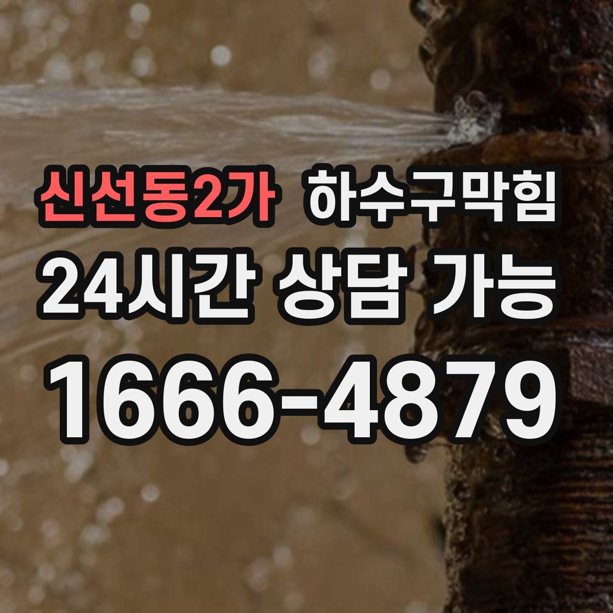 신선동2가 하수구막힘
