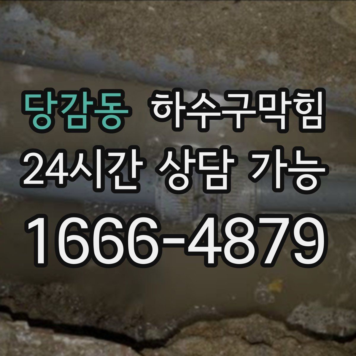 당감동 하수구막힘 단독 화장실막힘 이후 베란다까지 번진 습기