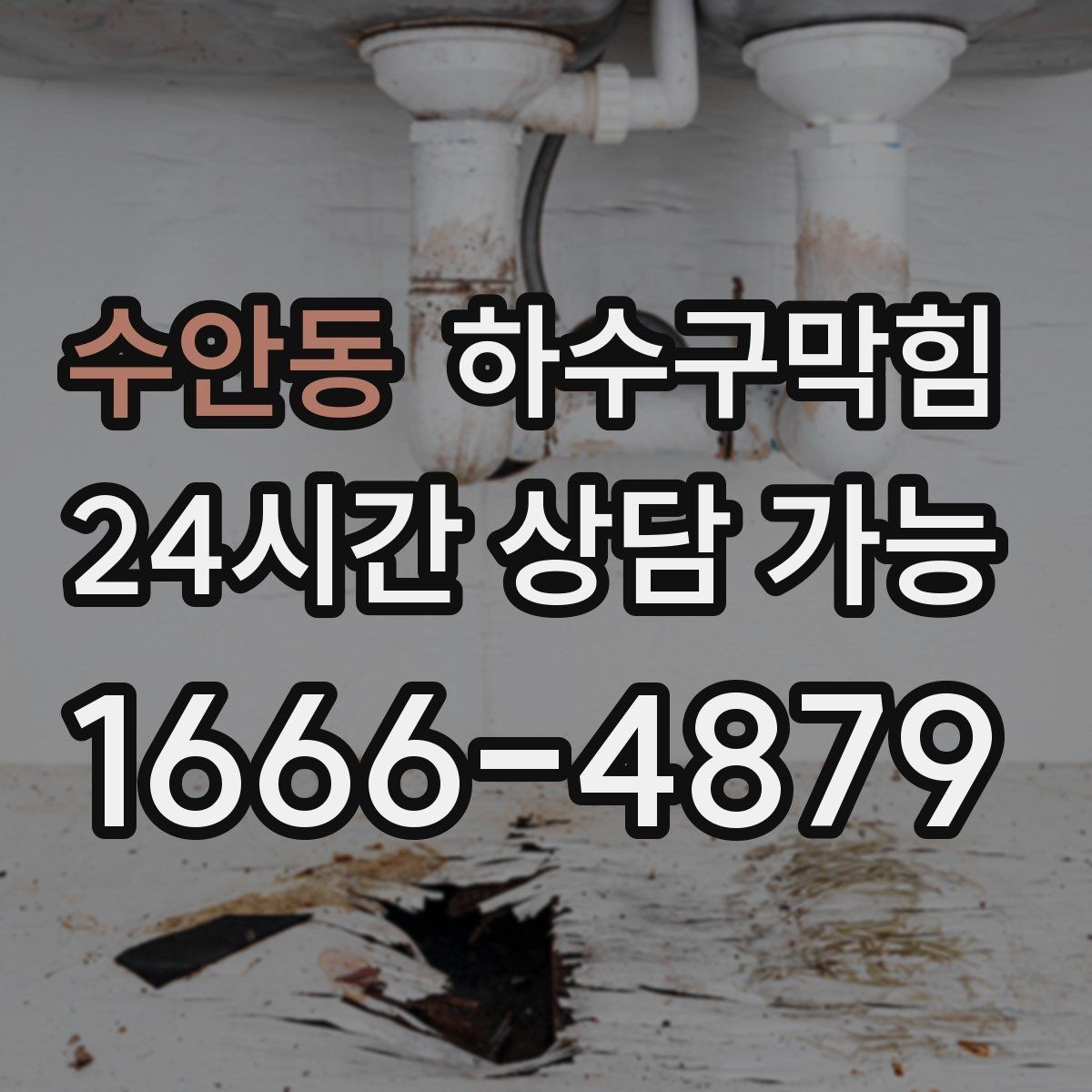 수안동 하수구막힘 호텔 객실과 공용 화장실 구분 관리
