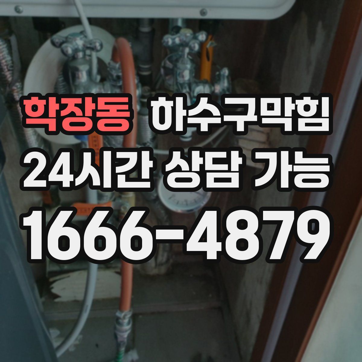 학장동 하수구막힘