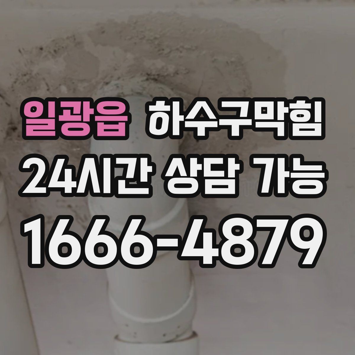 일광읍 하수구막힘 사무실 화장실막힘으로 직원 동선이 꼬인 날