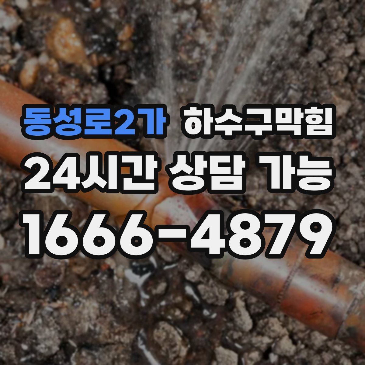 동성로2가 하수구막힘 카페 디저트 존 냄새 이슈 다루기