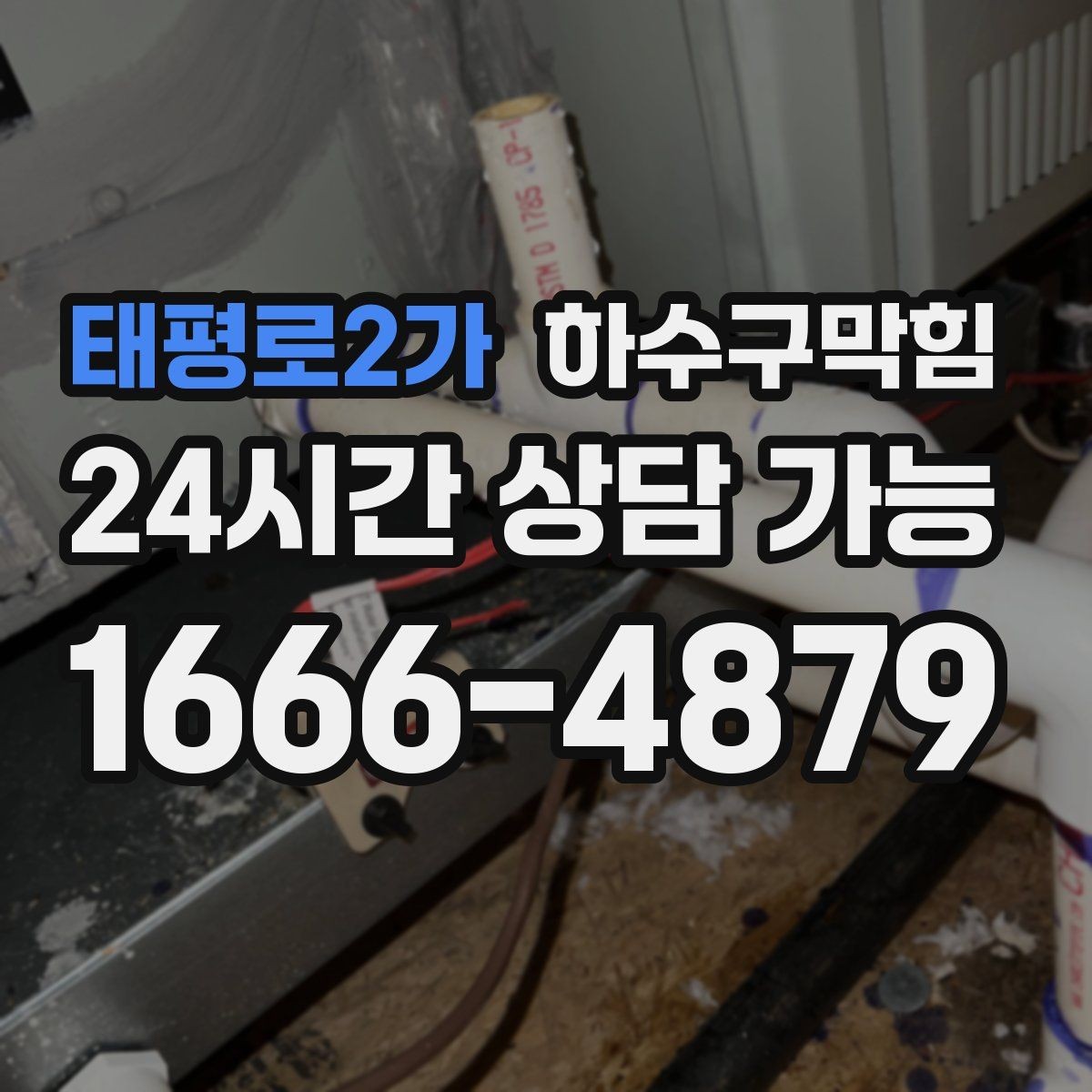 태평로2가 하수구막힘 싱크 하부 곰팡이와 냄새의 연결고리