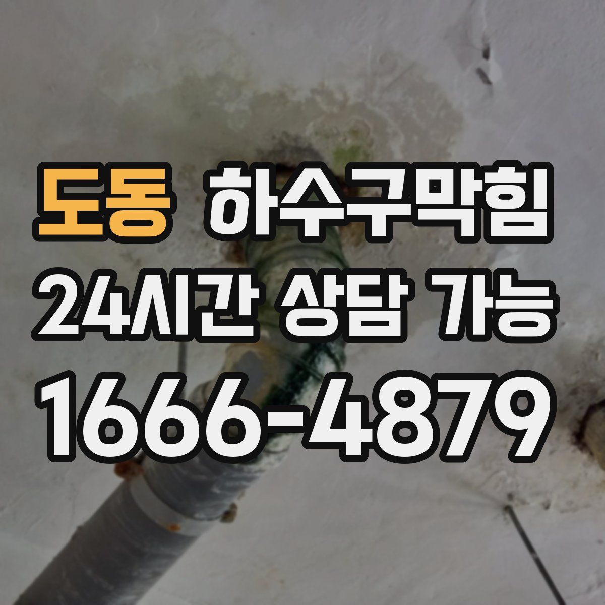 도동 하수구막힘