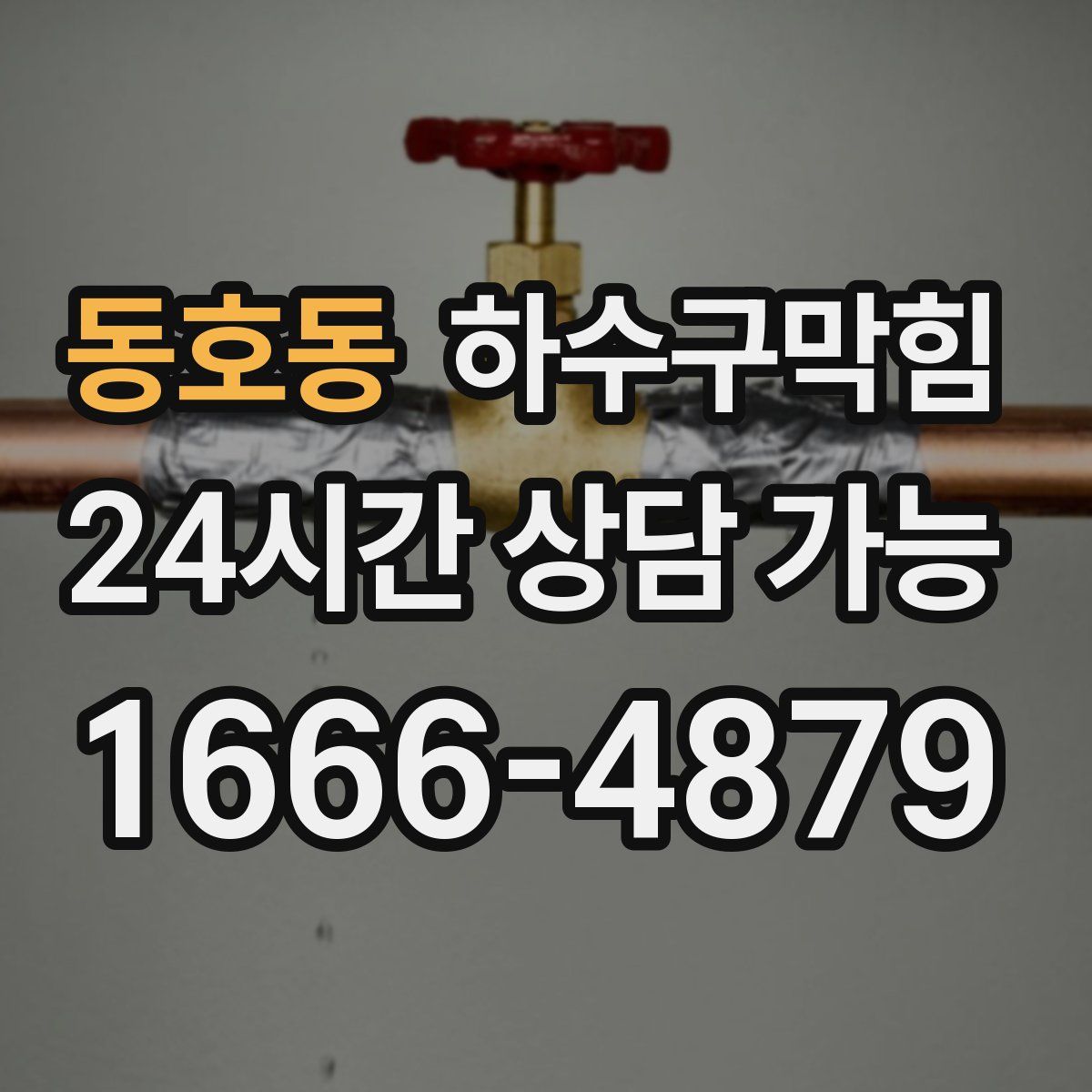 동호동 하수구막힘
