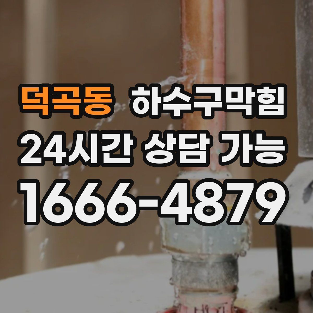 덕곡동 하수구막힘 카페 디저트 존 냄새 이슈 다루기