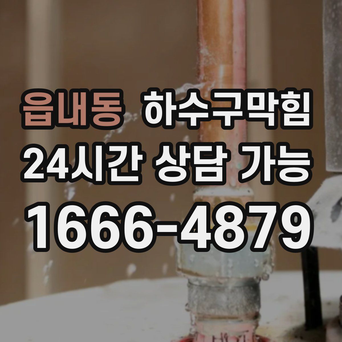 읍내동 하수구막힘