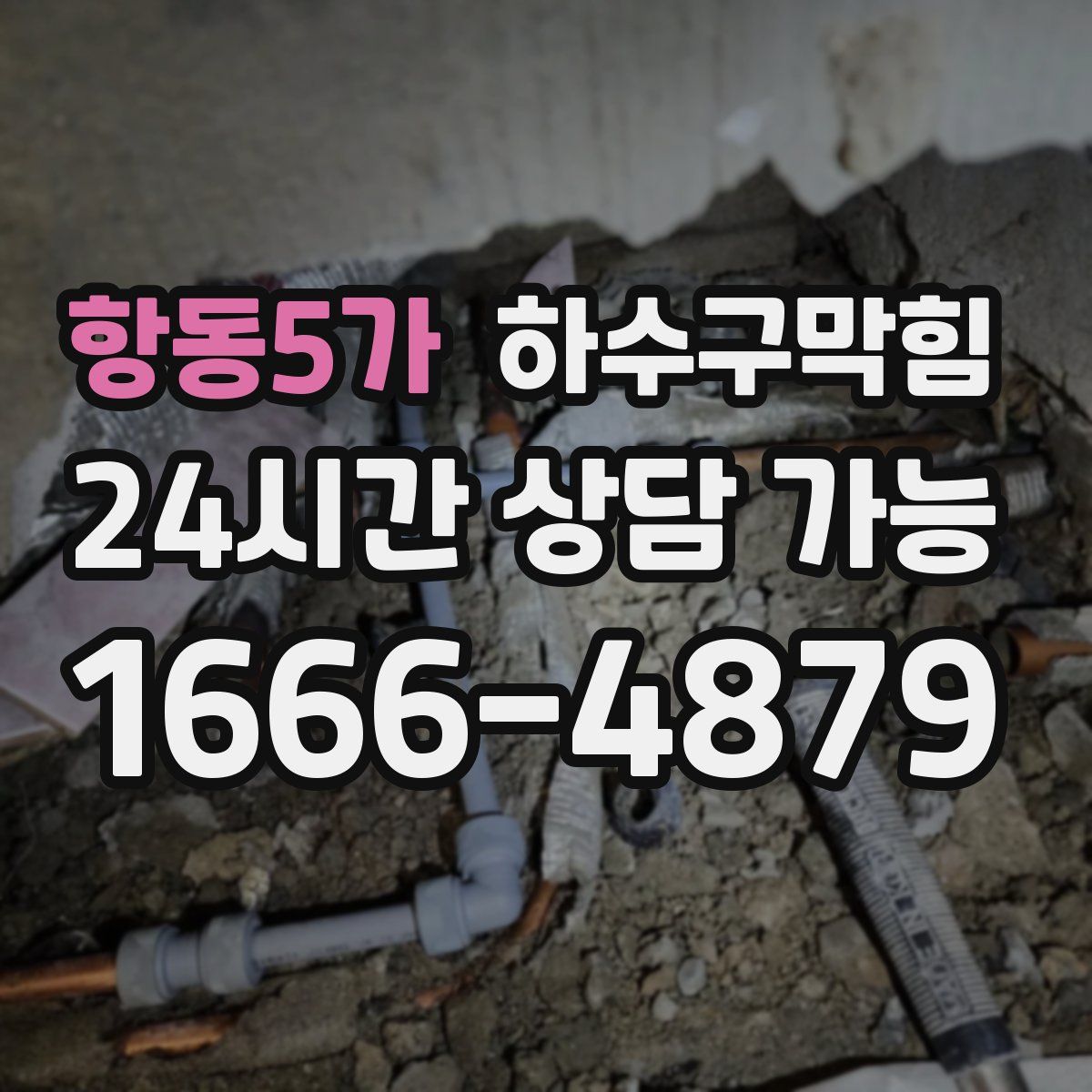 항동5가 하수구막힘