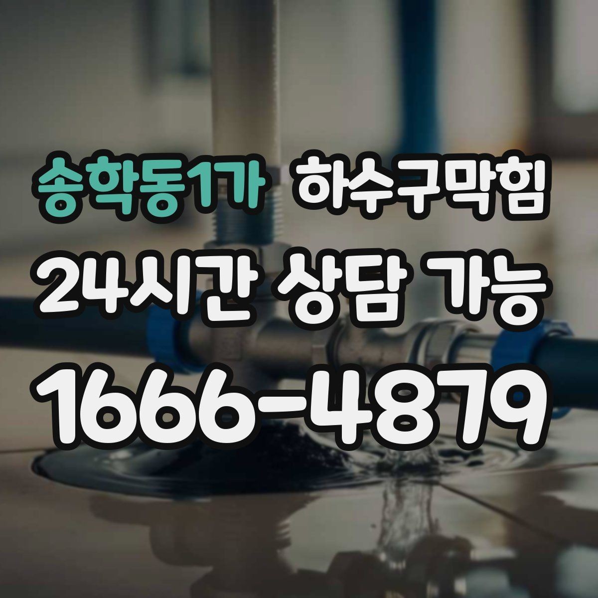 송학동1가 하수구막힘 바닥 트랩 뚜껑이 준 미세한 힌트