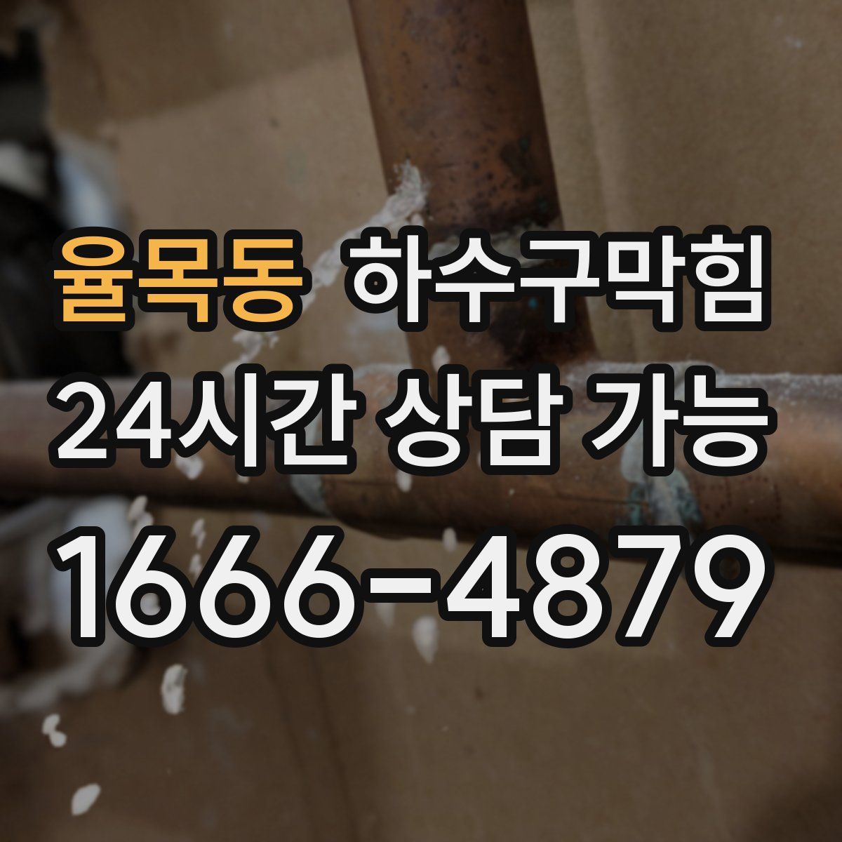 율목동 하수구막힘