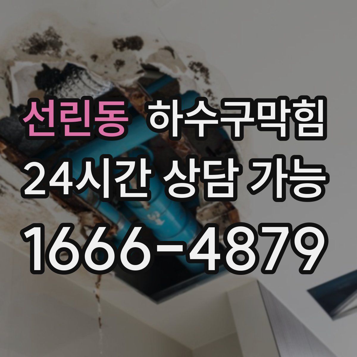 선린동 하수구막힘