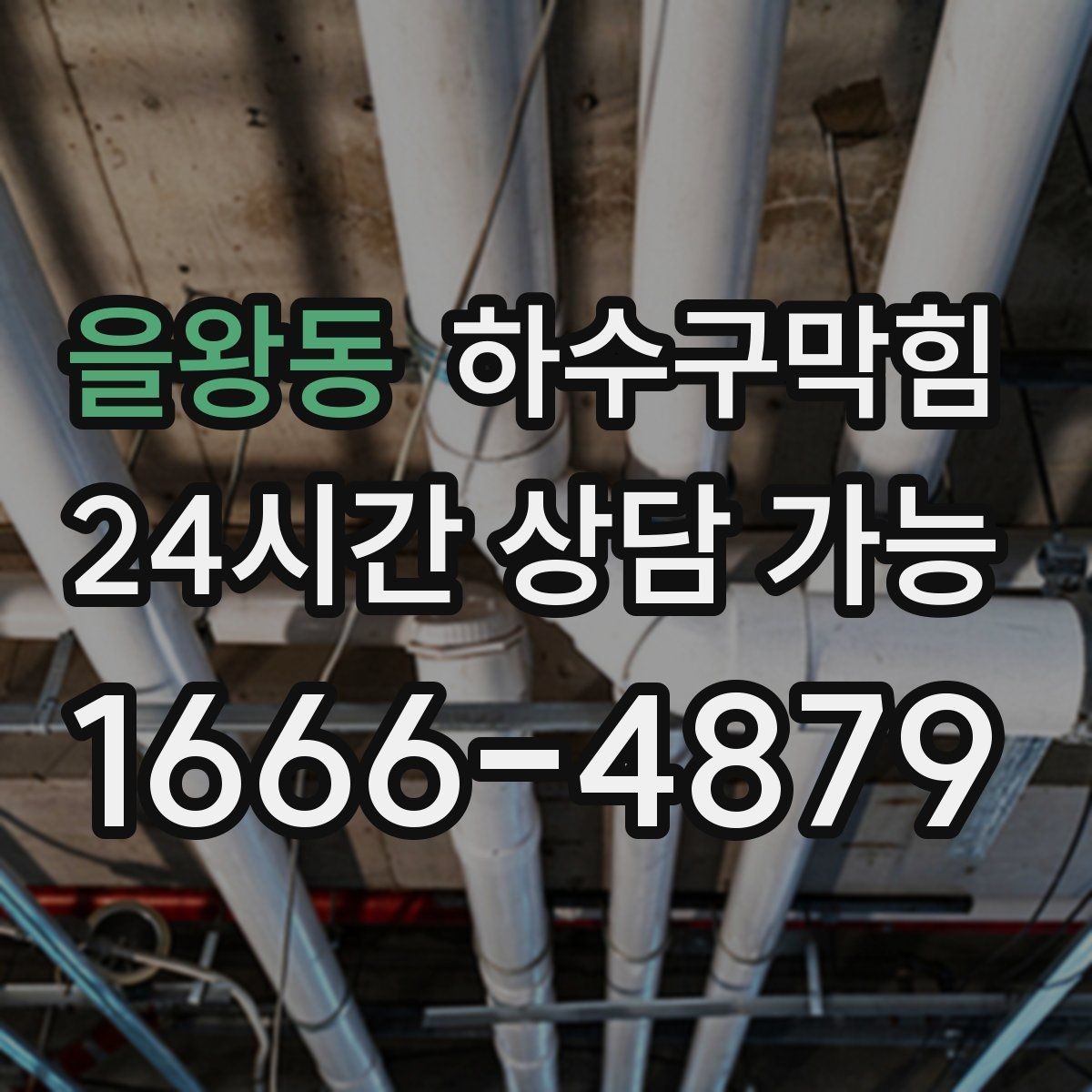 을왕동 하수구막힘 북카페 테이블 밑 러그의 냄새