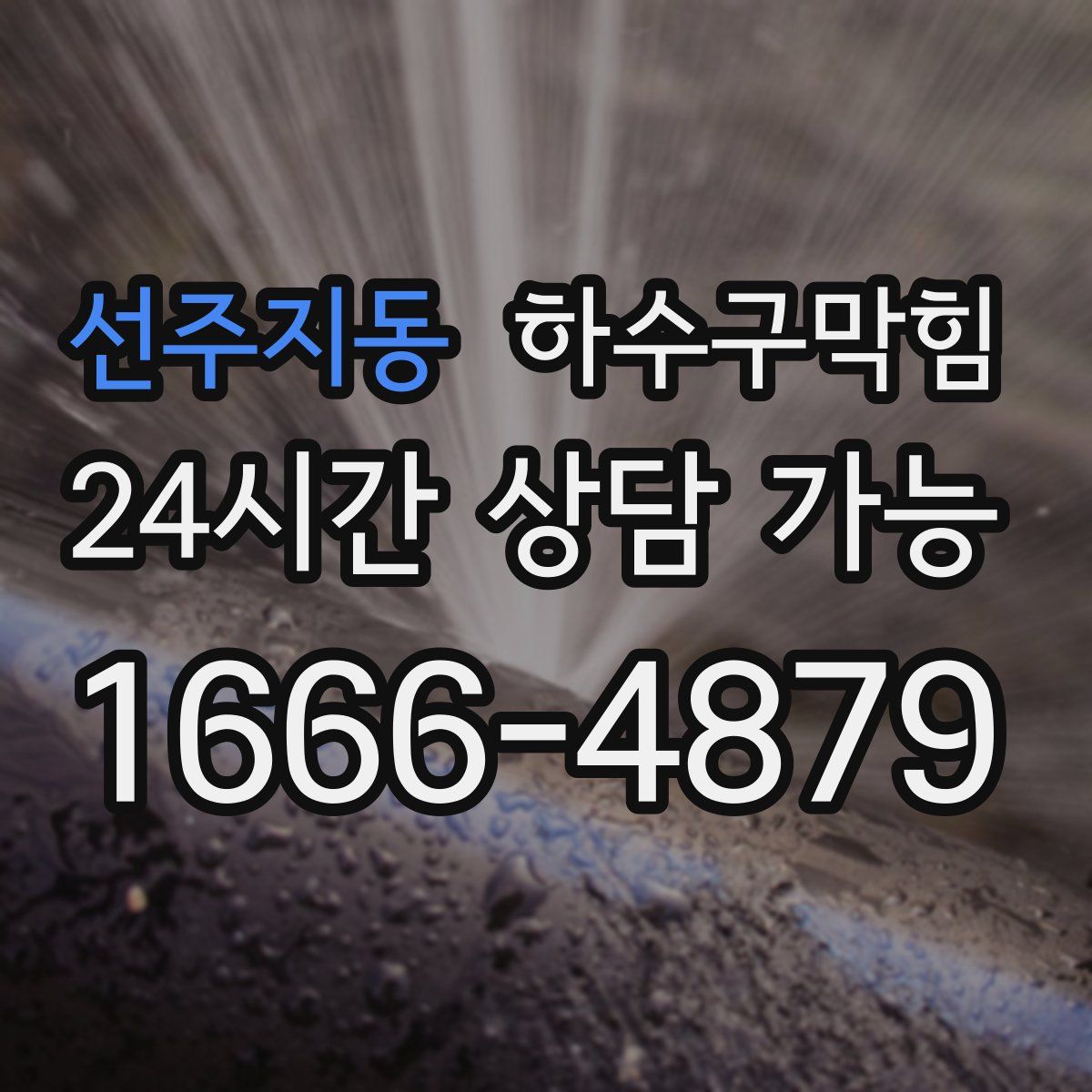 선주지동 하수구막힘